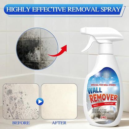 Instant Wall Mold & Mildew Remover Spray