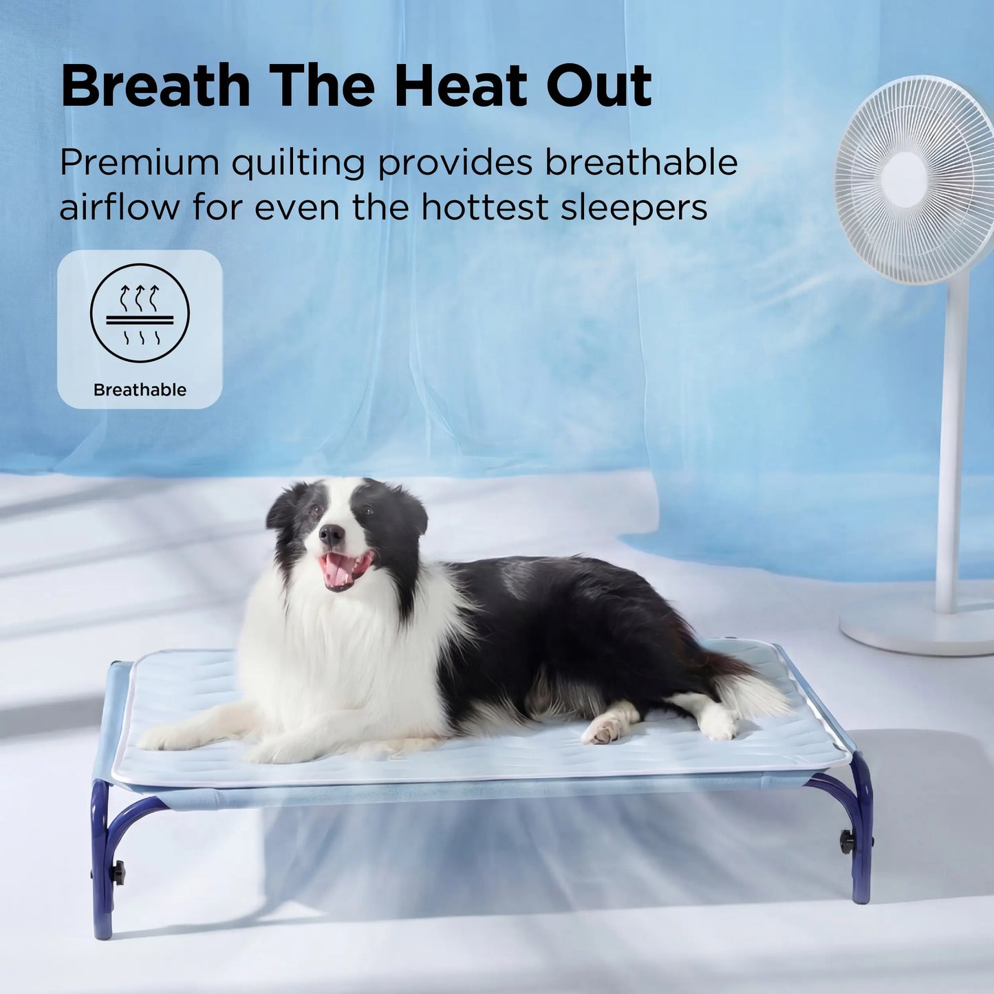 🔥🔥Hot Sale 🧊 Cooling Mat for Dogs - Portable Non-Slip Pet Pad