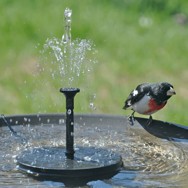 K🥳2026 HOT SALE🥳💞50% OFF!✨ 💝Compact Solar Bird Fountain Pump – Keep Your Garden Alive! 🐦️