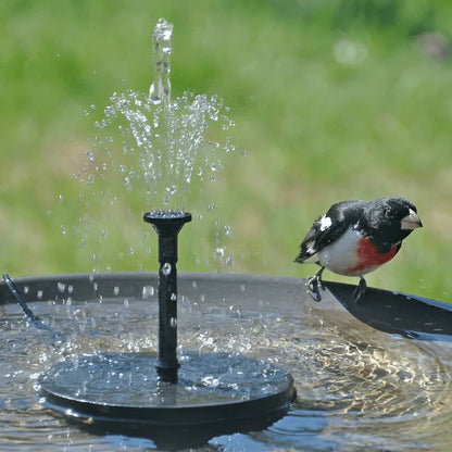 K🥳2026 HOT SALE🥳💞50% OFF!✨ 💝Compact Solar Bird Fountain Pump – Keep Your Garden Alive! 🐦️